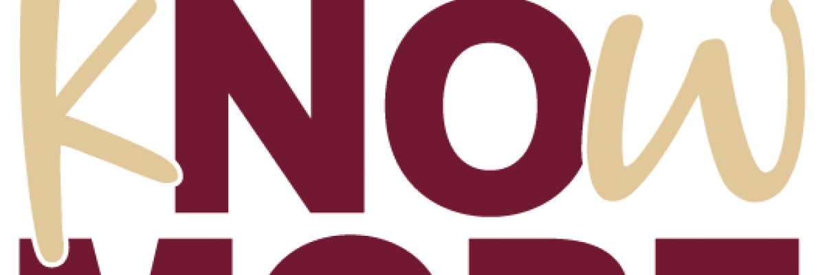 kNOwMORE Logo