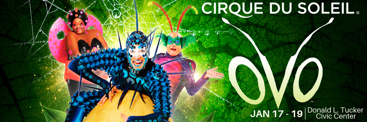 Cirque Du Soleil OVO