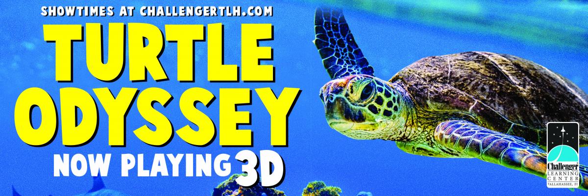 Turtle Odyssey 3D