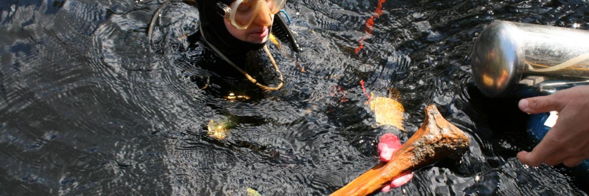 The Underwater Archaeology of the First Americans