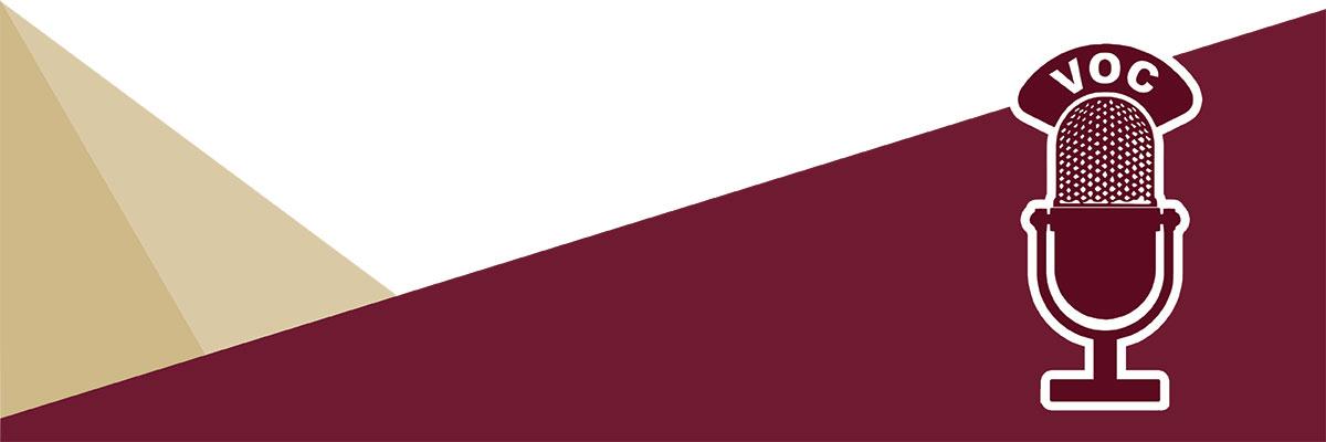 ITS Voice of the Community campaign