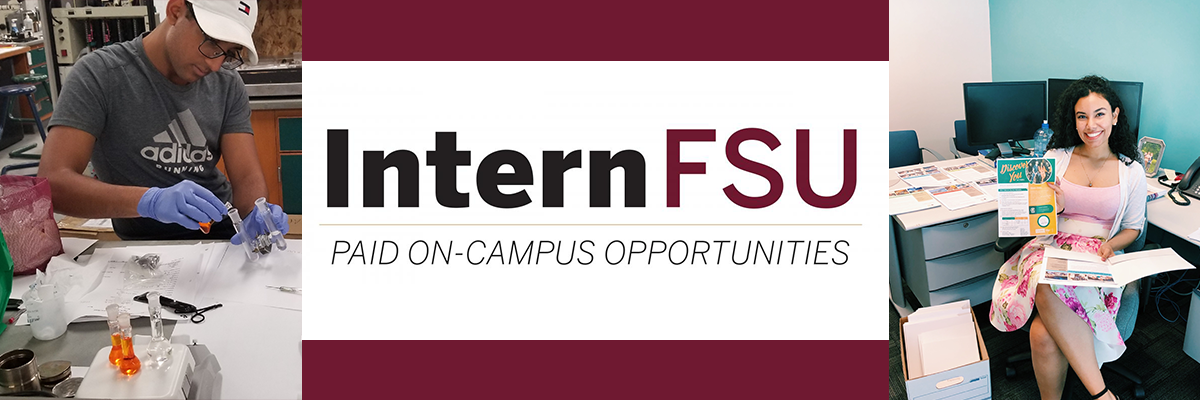 InternFSU