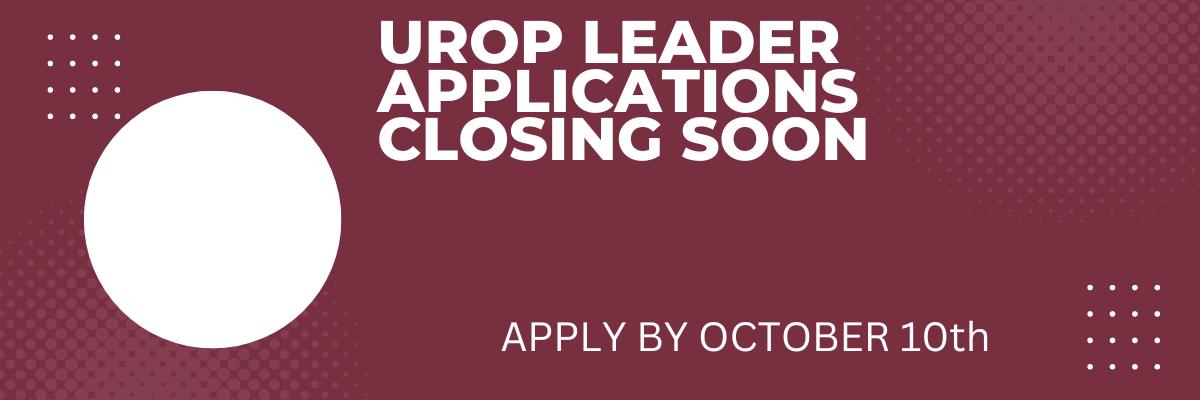 Undergraduate Research Opportunity Program Leader Applications are Closing Soon!