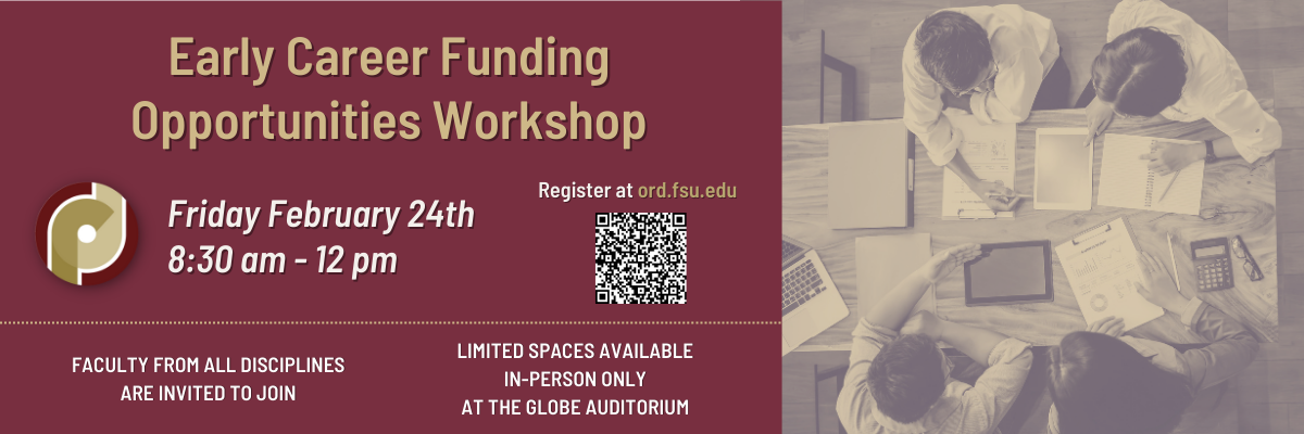 Early Career Funding Opportunities Workshop