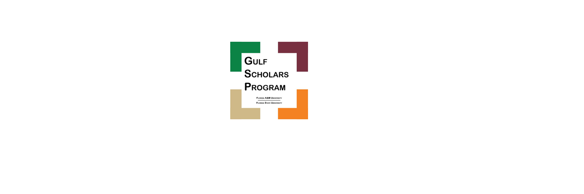 Gulf Scholars Faculty Curriculum Grant