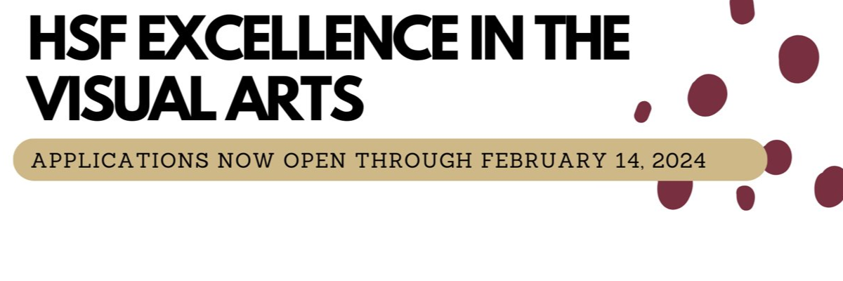 HSF Excellence in the Visual Arts Awards