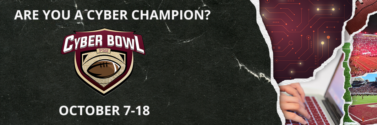 Are you a cyber champion graphic 