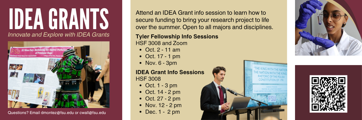IDEA Grants 2025 