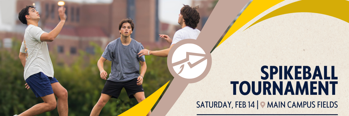 Spikeball