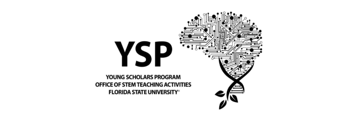 An acronym "YSP" alongside text reading "Young Scholars Program, Office of STEM Teaching Activities, Florida State University," next to a graphic of a brain made of circuit board lines sprouting from a DNA strand with leaves.