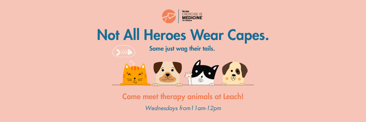 Therapy Animals