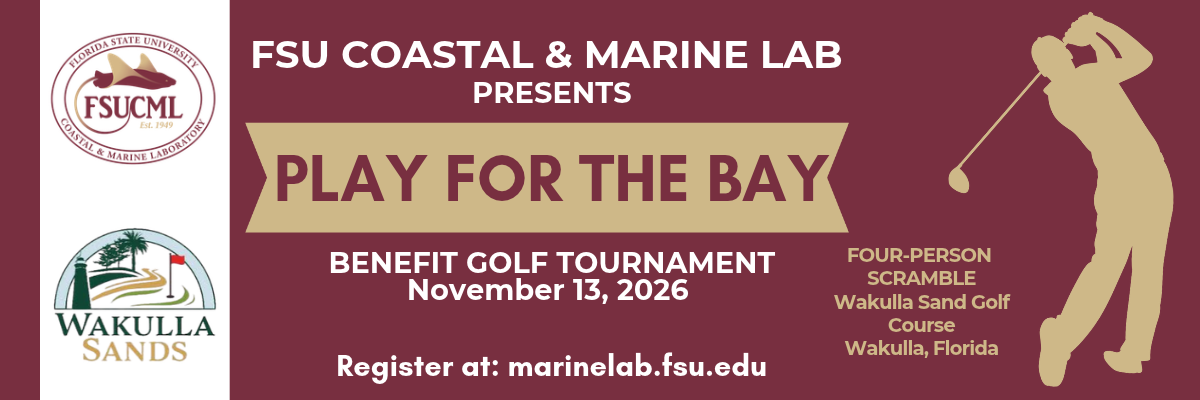 FSUCML Play for the Bay Benefit Golf Tournament on November 13th, 2026. Four-Person Scramble at Wakulla Sands Golf Course in Wakulla, Florida. Register on our website at marinelab.fsu.edu