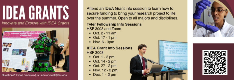 IDEA Grants 2025 
