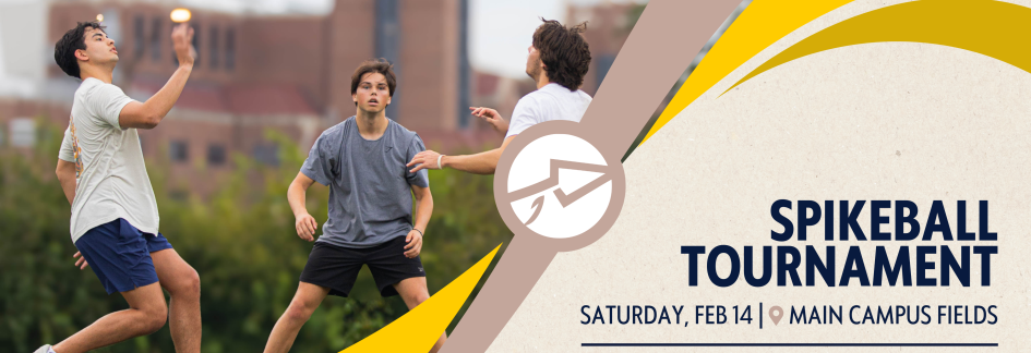 Spikeball