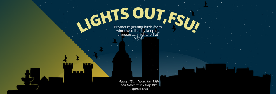 Lights Out, FSU
