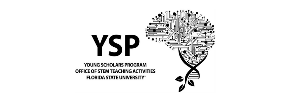 An acronym "YSP" alongside text reading "Young Scholars Program, Office of STEM Teaching Activities, Florida State University," next to a graphic of a brain made of circuit board lines sprouting from a DNA strand with leaves.
