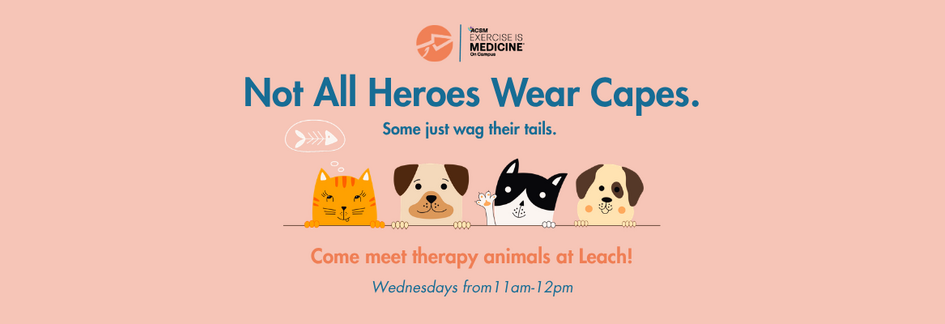 Therapy Animals