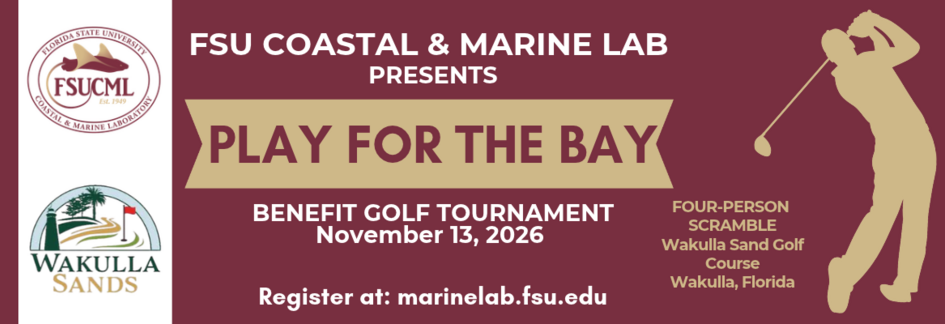 FSUCML Play for the Bay Benefit Golf Tournament on November 13th, 2026. Four-Person Scramble at Wakulla Sands Golf Course in Wakulla, Florida. Register on our website at marinelab.fsu.edu