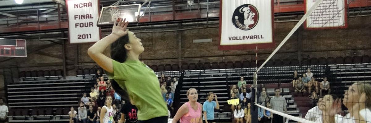 IM Volleyball