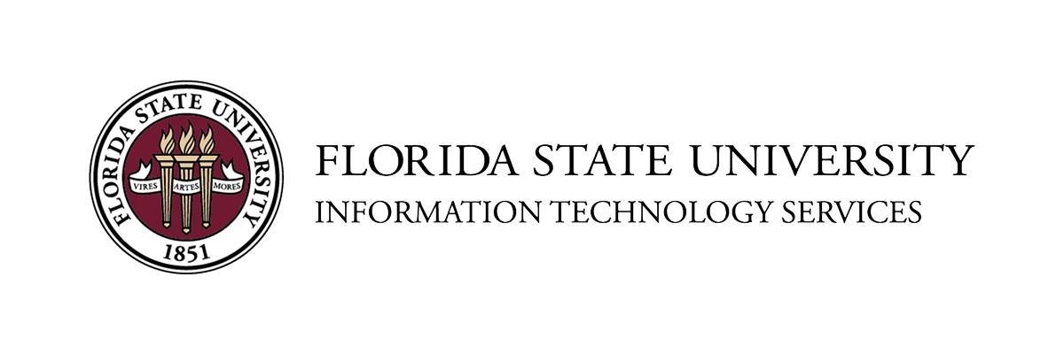 Information Technology Services Logo