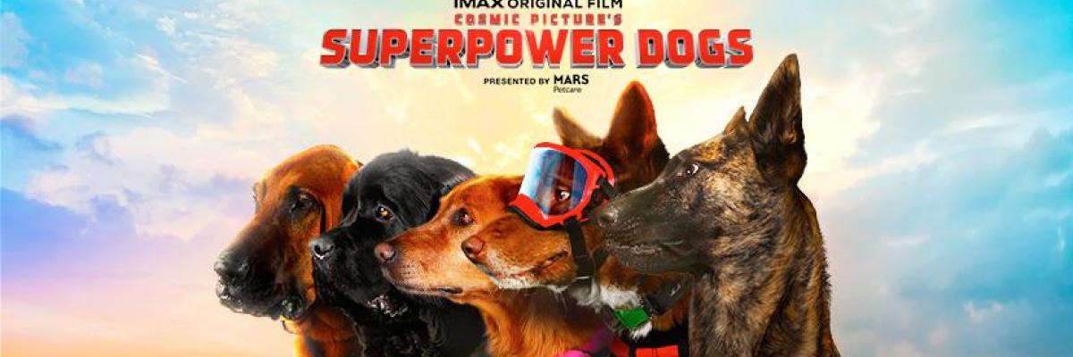 Superpower Dogs 3D in IMAX