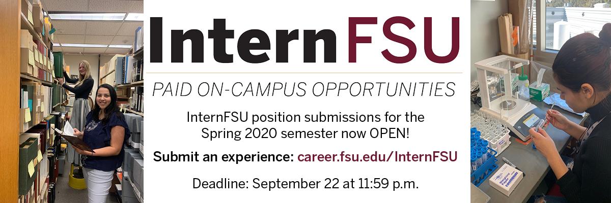 InternFSU Spring 2020