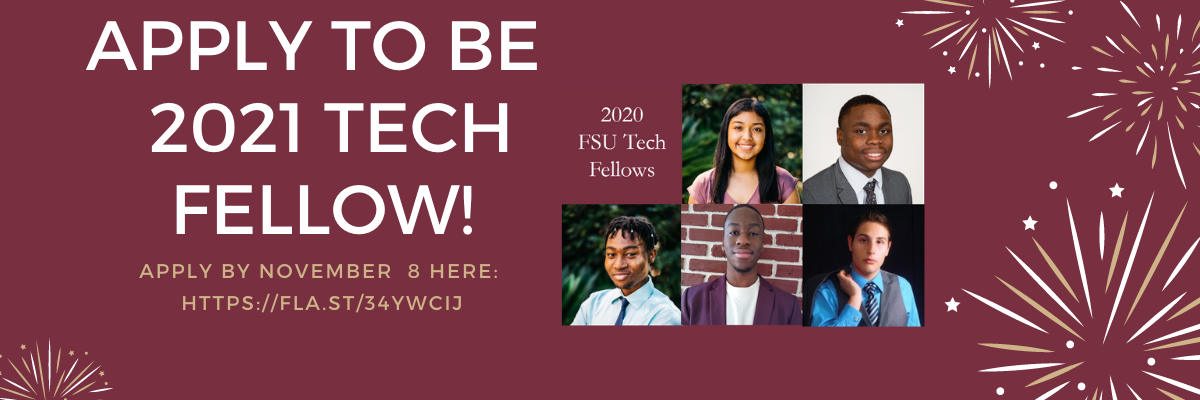 2021 Tech Fellows Banner