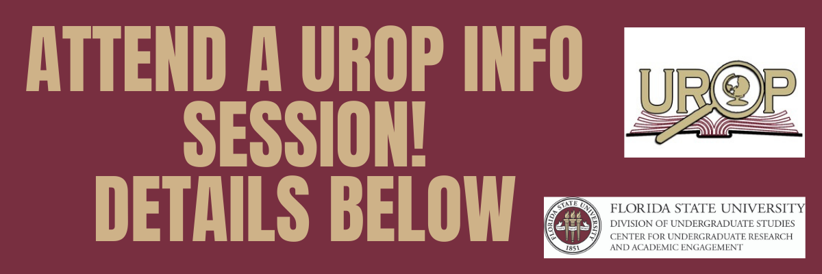 Attend a UROP Info Session