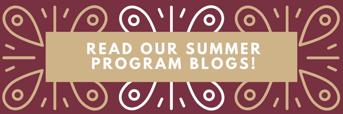 Read Our Summer Program Blogs