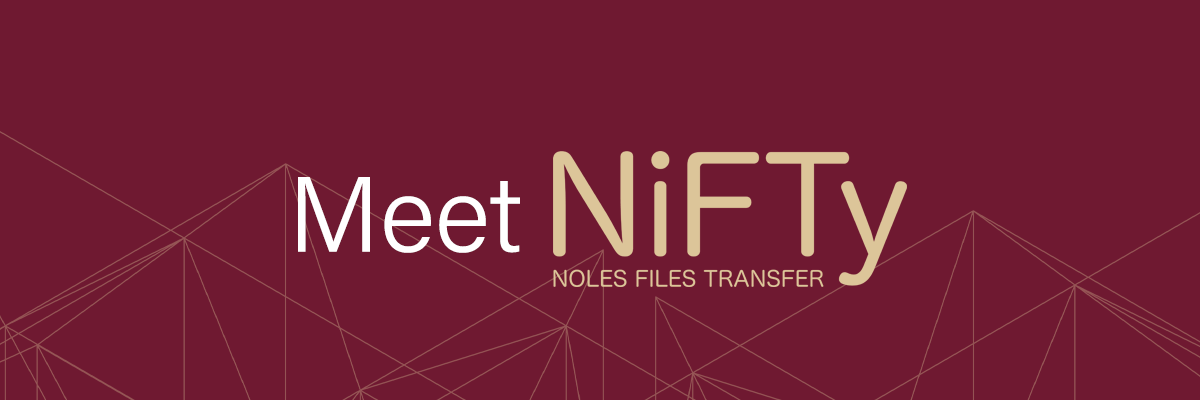 Meet NiFTy