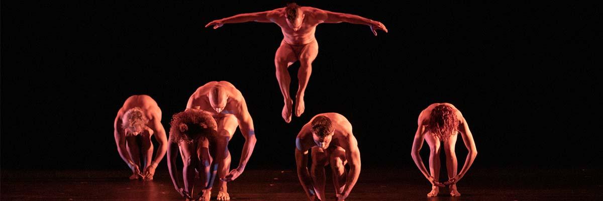 Pilobolus BIG FIVE-OH!