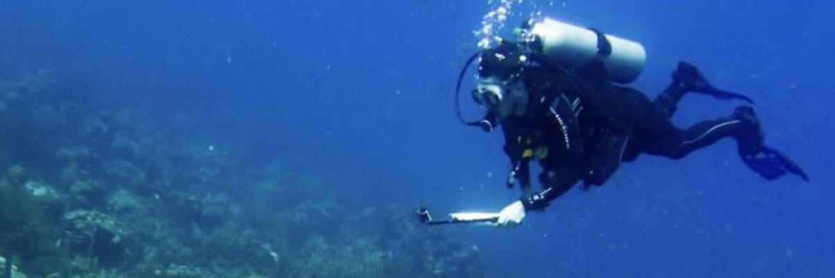 FSUCML Diving Scholarship