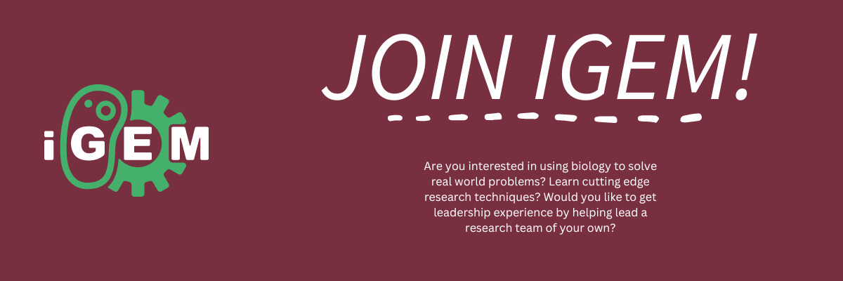 Join IGEM