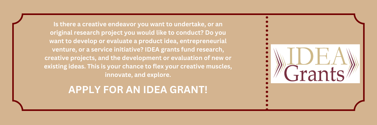 Apply for an IDEA Grant