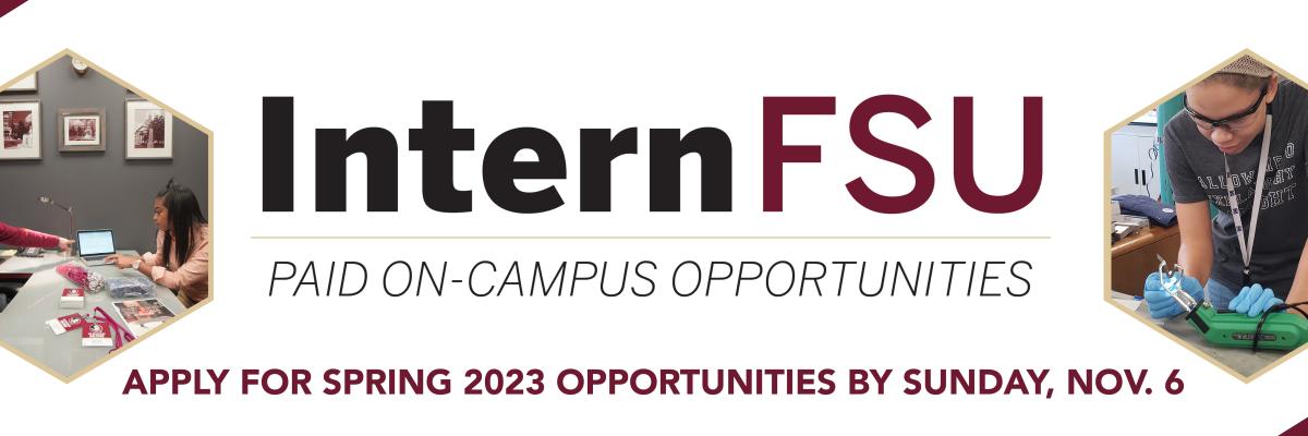 InternFSU Applications Open