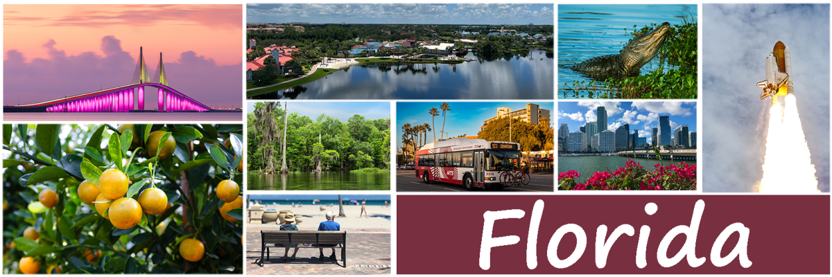 Uniquely Floridian images, including a Cape Canaveral launch, the skyway bridge, oranges, and an aligator