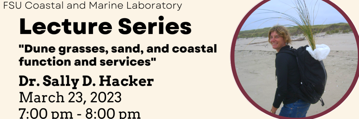 Dr. Sally D. Hacker at the FSUCML