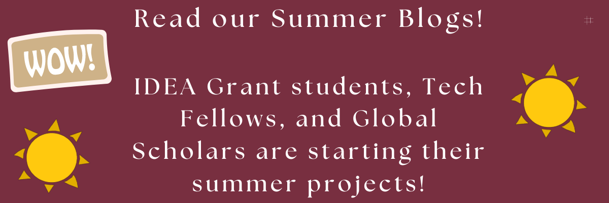 Our Summer 2023 Blogs are Starting!