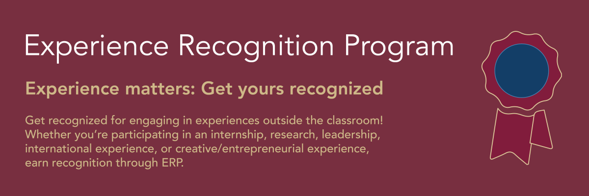 Experience Recognition Program