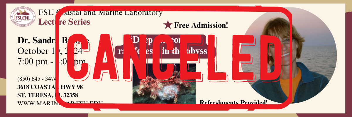 CANCELED - Dr Sandra Brooke