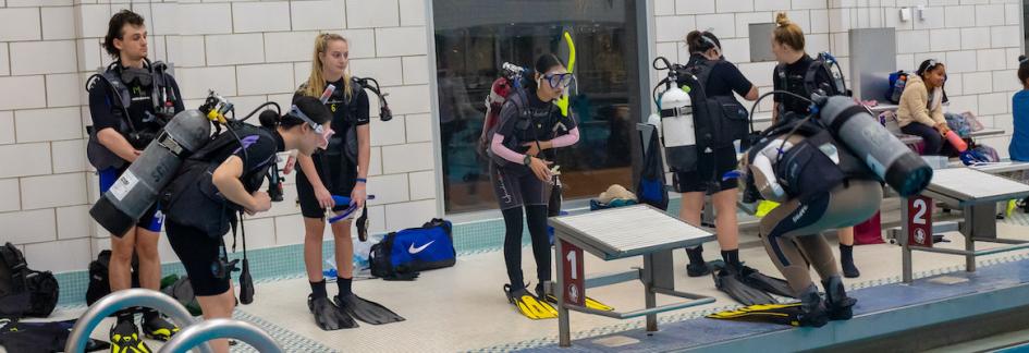 multiple students with oxygen tanks on backs learning from scuba instructor