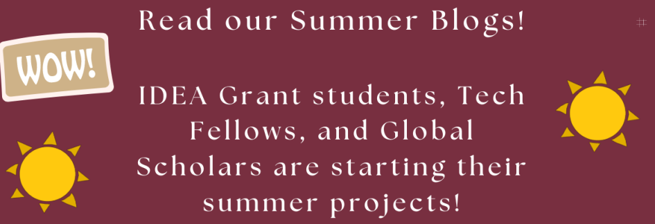 Our Summer 2023 Blogs are Starting!